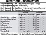 Pre Workout Beast (Berry Flavour) - Hardcore pre-Workout Supplement with Creatine, Caffeine, Beta-Alanine and Glutamine (Regular - 306 Grams | 40 Servings - FitnSupport
